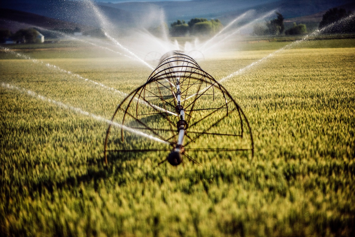 Bewässerungsanlage auf einem Feld.