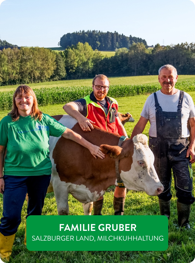 Familie Gruber auf der Wiese bei einer Kuh.