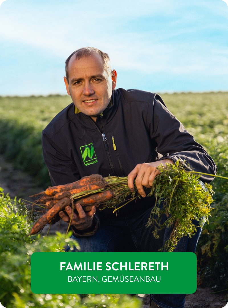 Biolandwirt Herr Schlereth hält frisch geerntete, erdige Karotten auf einem grünen Feld bei Sonnenschein.