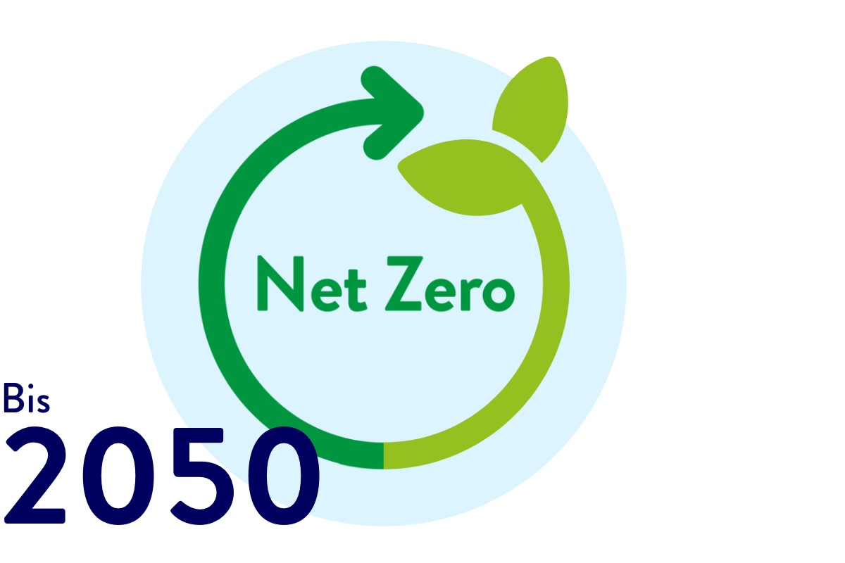 Illustration eines Pfeils in Pflanzenform.