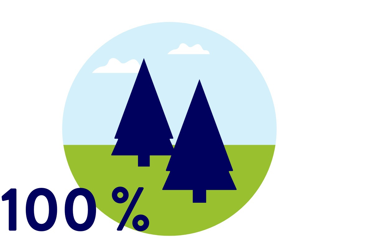 Zwei Tannen auf einer Weise.