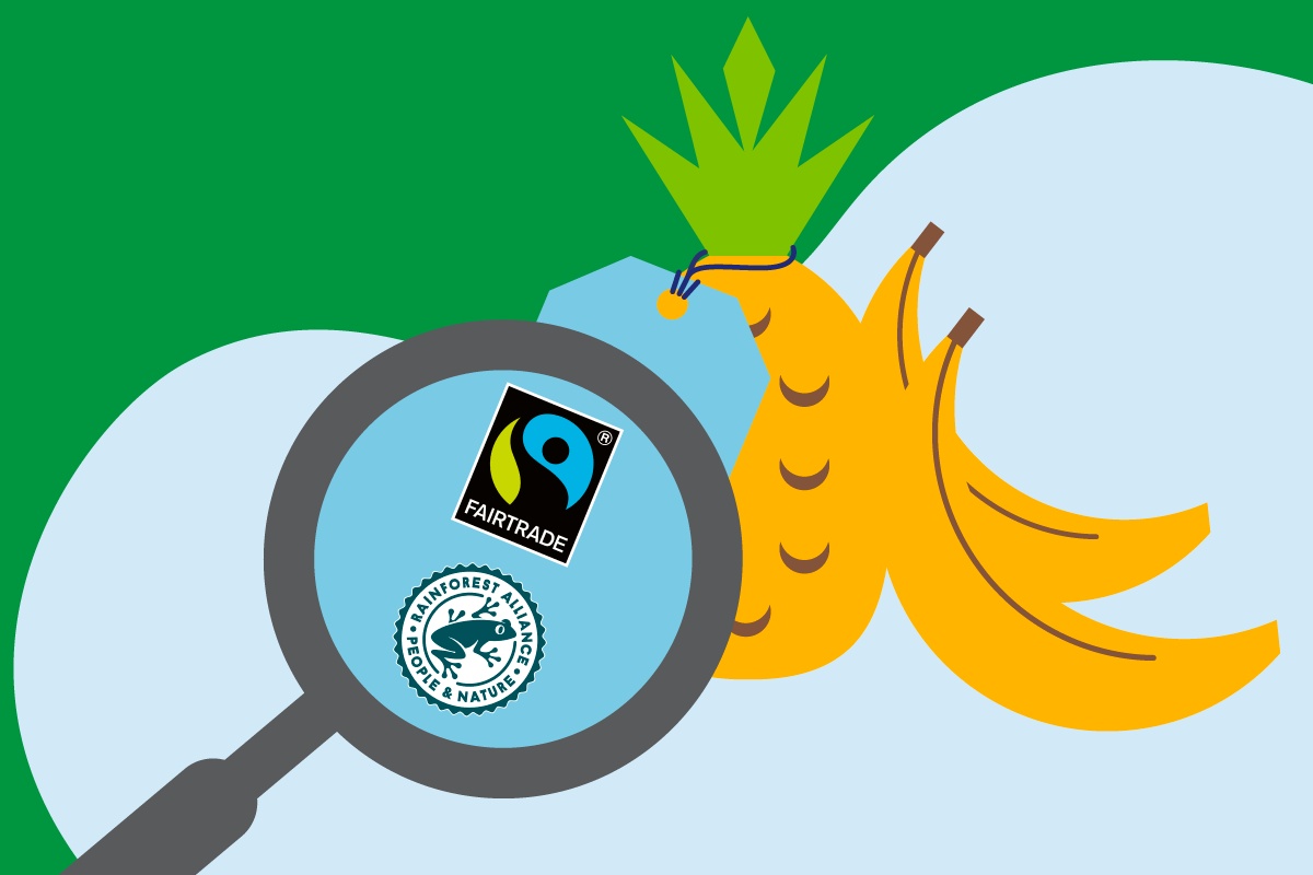 Grafik einer Banane mit Fairtrade- und Rainforest-Alliance-Siegeln unter einer Lupe.