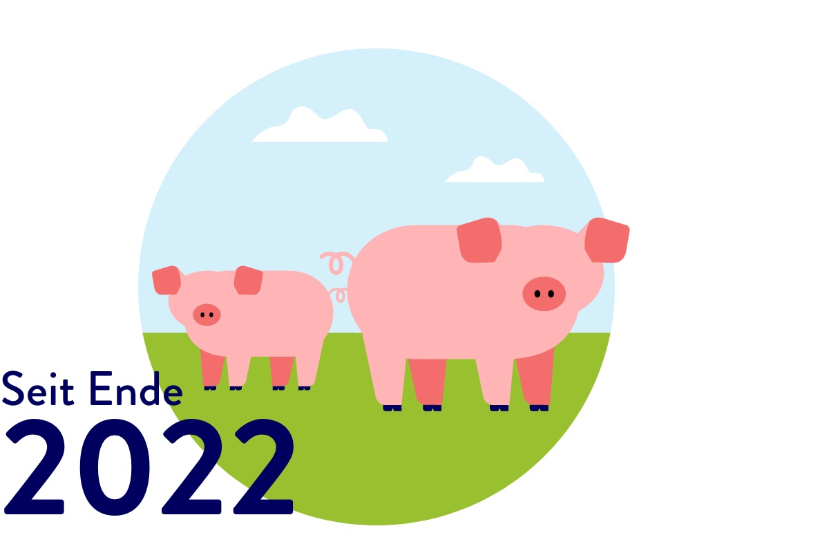 Illustration von zwei Schweinen auf Wiese.