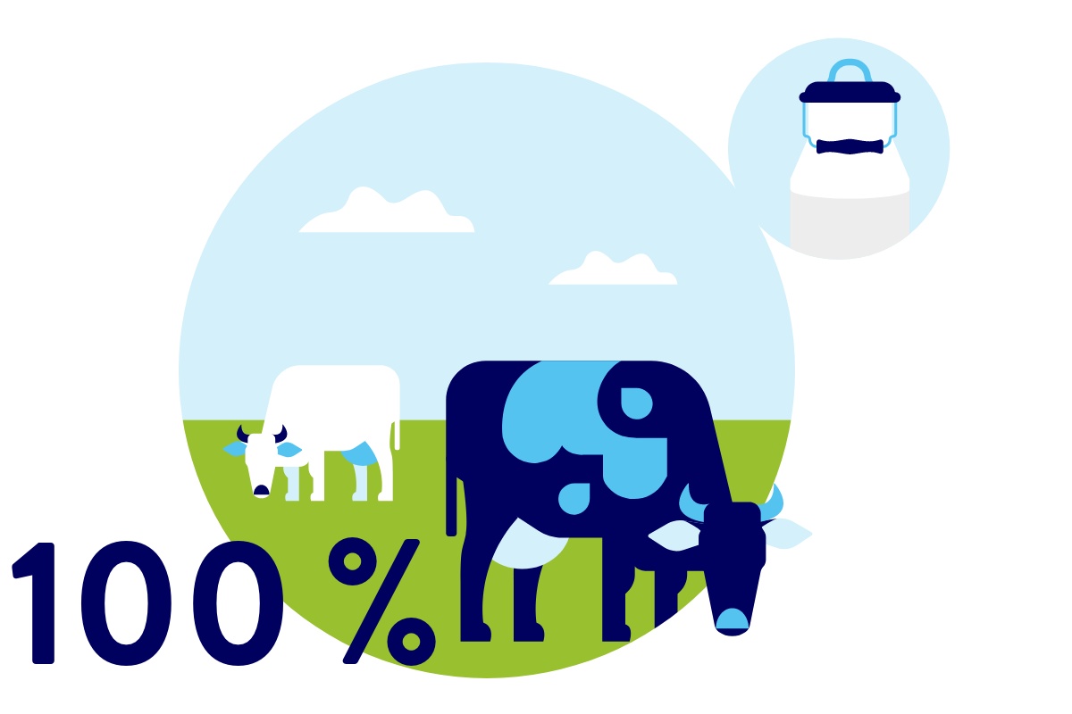 Illustration von zwei Kühen auf Wiese, Milchkanne im Hintergrund.
