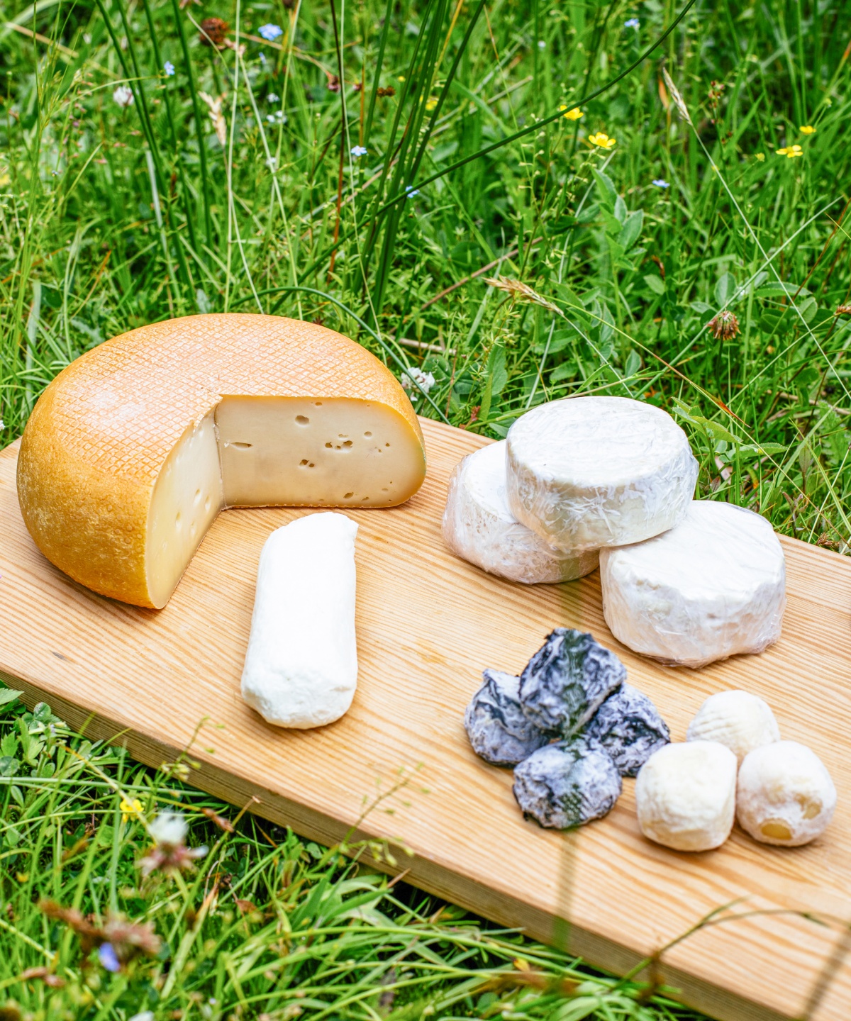 Ein Holzbrett mit verschiedenem Käse liegt auf einer Wiese.