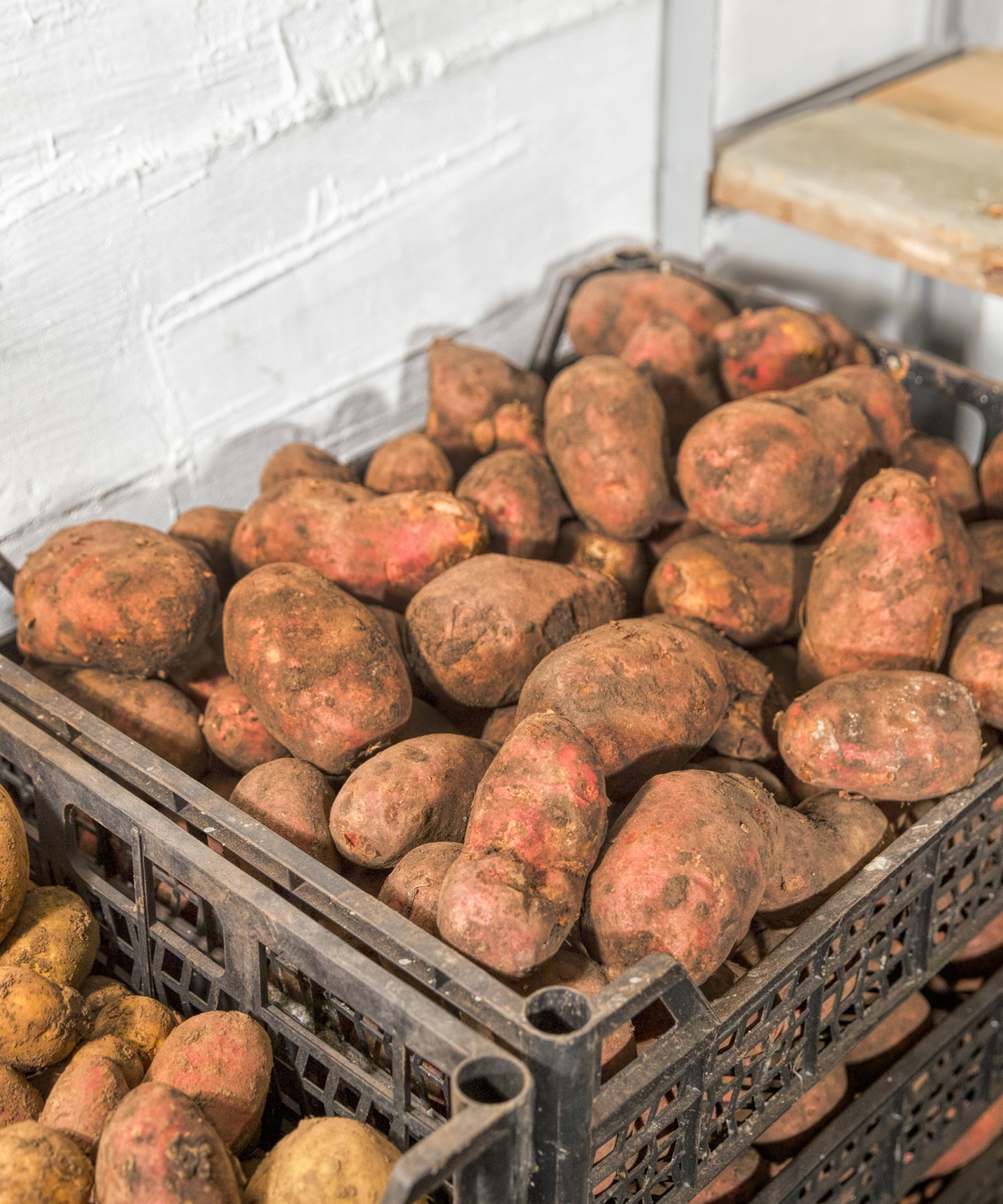Zwei Kisten mit sandigen Kartoffeln in einem Lagerraum.