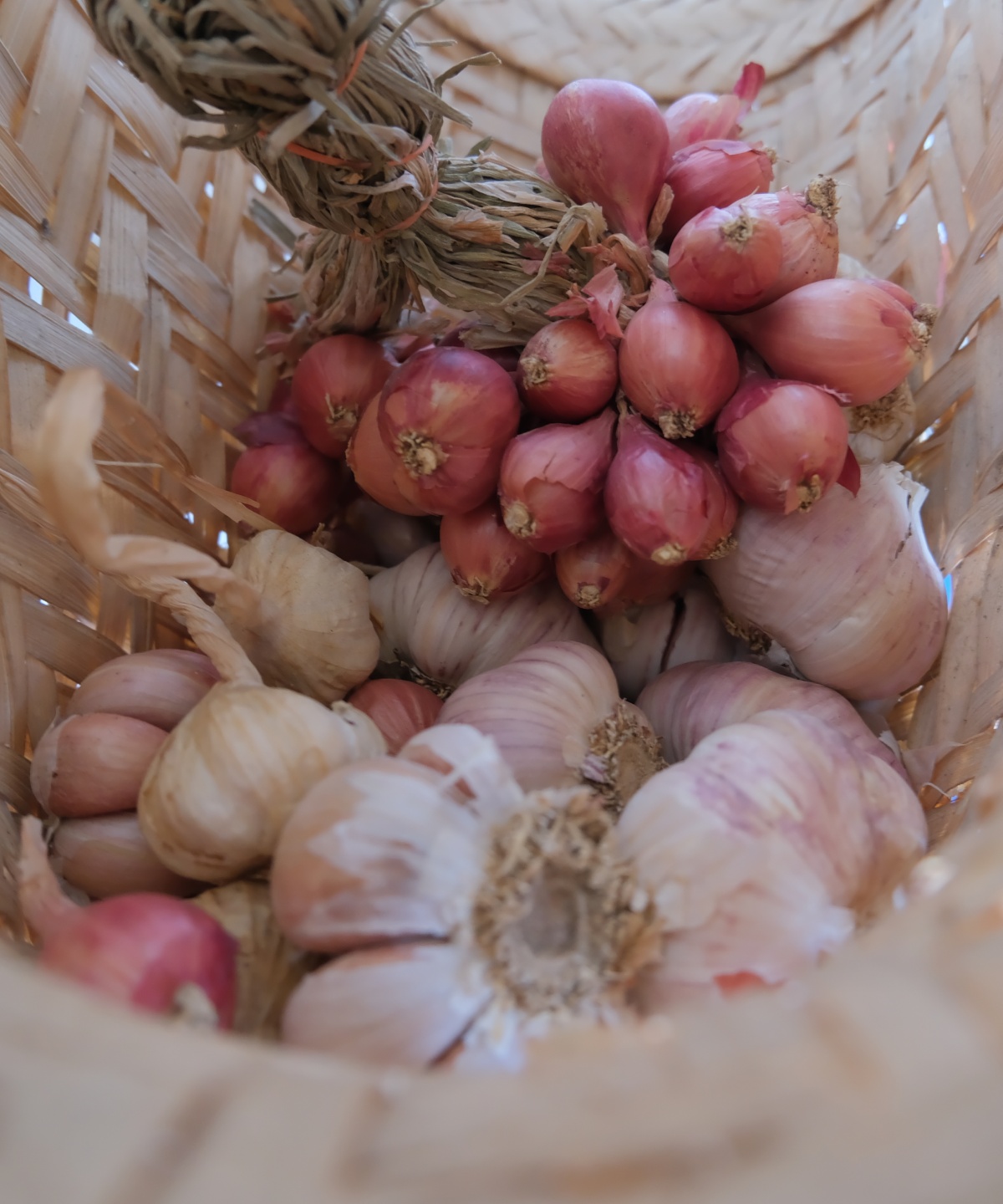 Geflochtener Korb mit frischem Knoblauch und Schalotten.