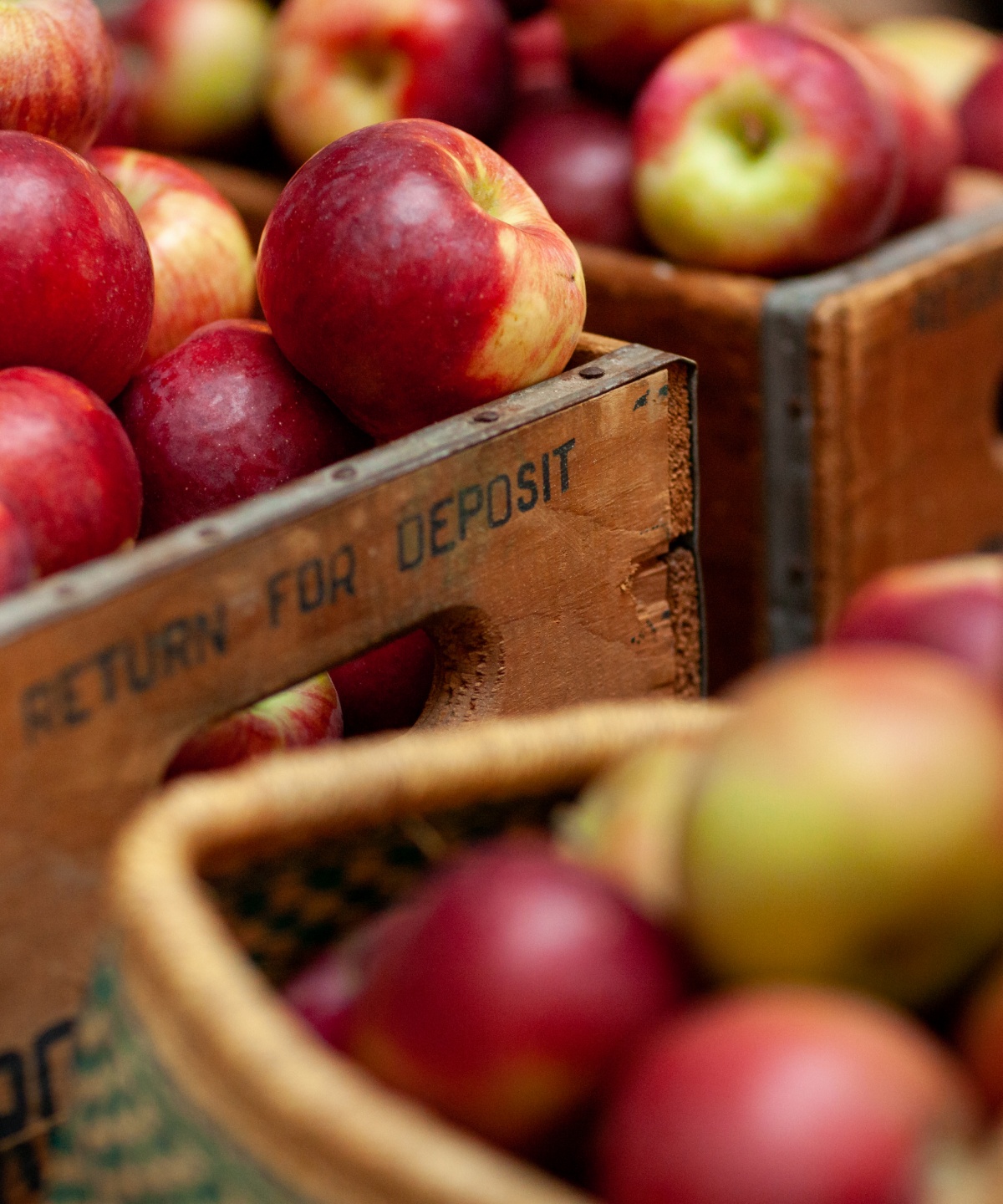 Holzkisten und Körbe gefüllt mit roten und grünen Äpfeln.