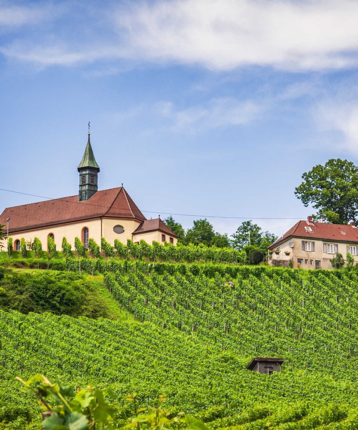 Kirche und Haus auf einem Hügel, umgeben von grünen Weinbergen in Baden unter blauem Himmel mit Wolken.