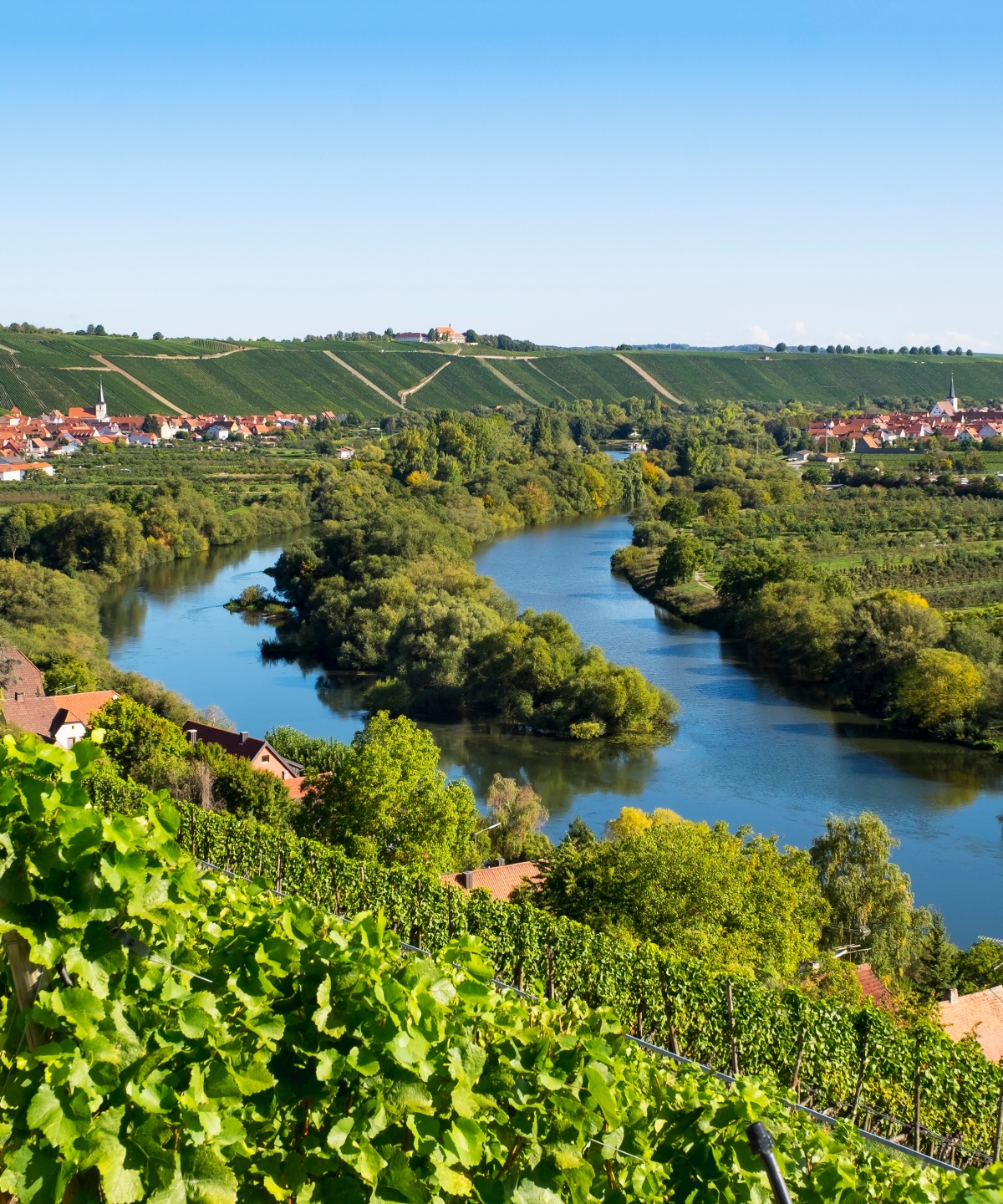 Weinland Franken mit Blick auf Fluss, Weinberge und Dorf im Sommer.