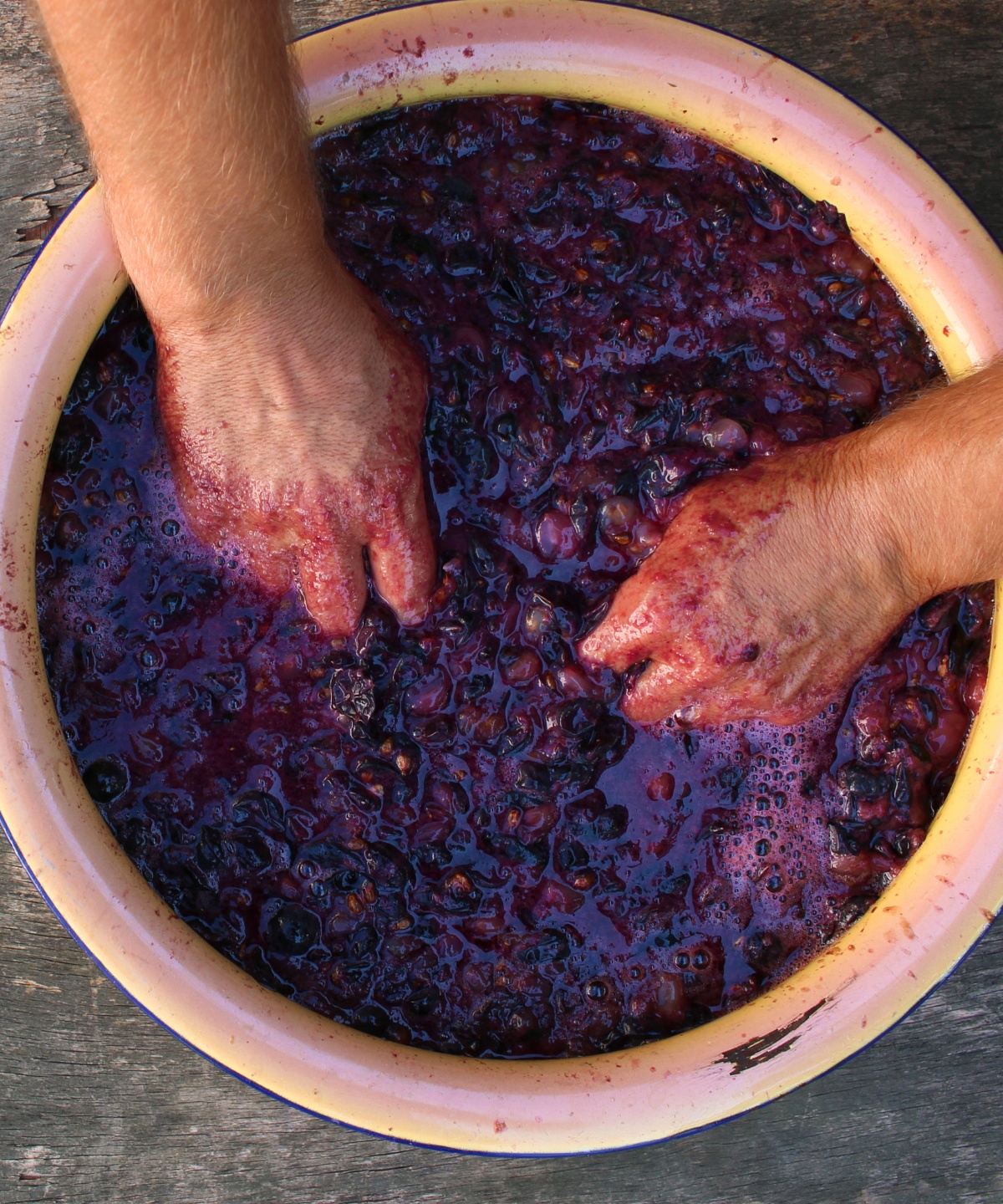 Person zerdrückt rote Weintrauben in einer großen Schüssel.