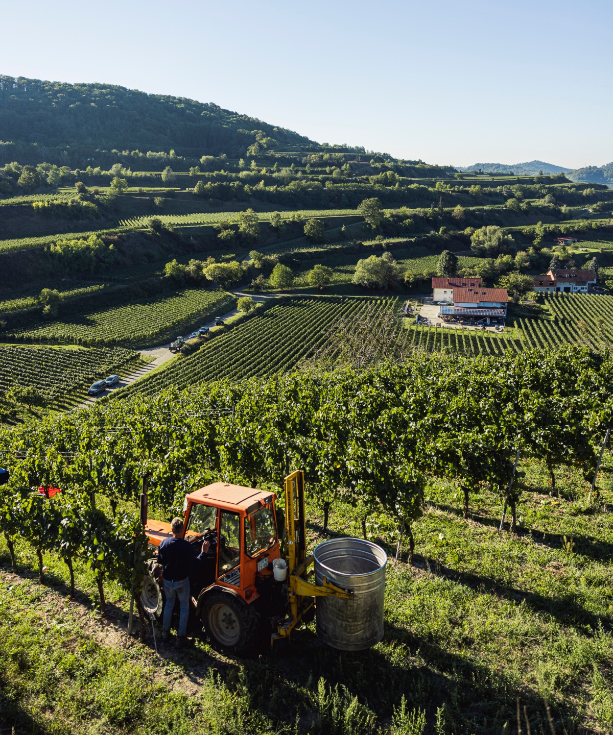 Vor dem Kaiserstuhl liegen die Terrassenebenen, sowie eine kleine Winzerei inmitten der Weinreben.