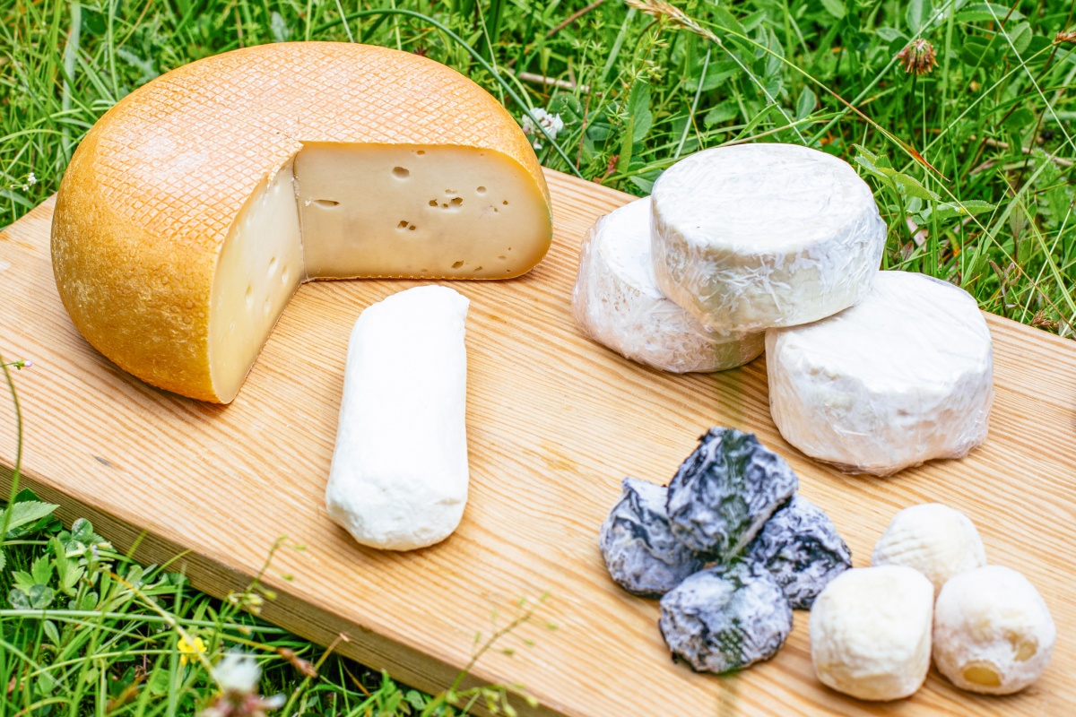 Ein Holzbrett bestückt mit verschiedenem Käse liegt in der Natur.