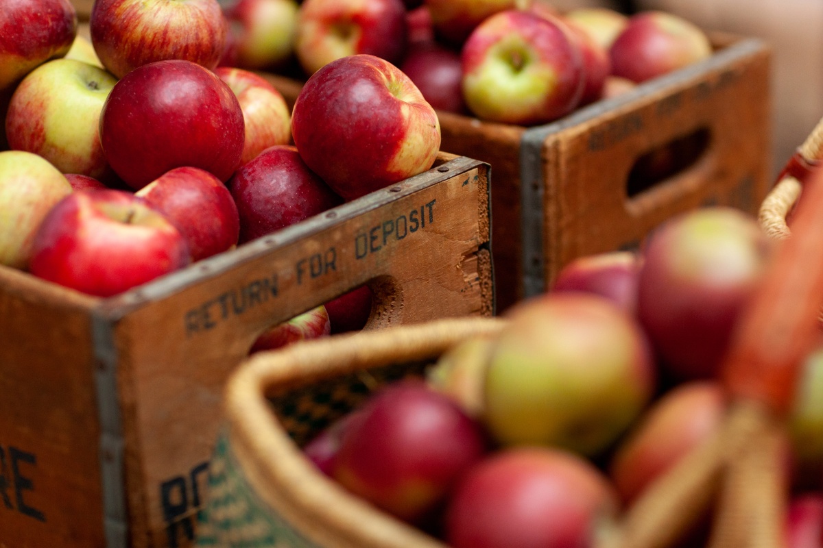 Holzkisten und Körbe gefüllt mit roten und grünen Äpfeln.