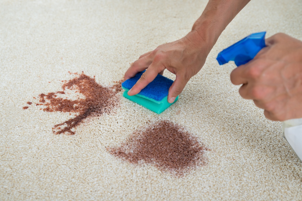 Eine Person entfernt einen dunklen Rotweinfleck aus einem Teppich mit Glasreiniger.