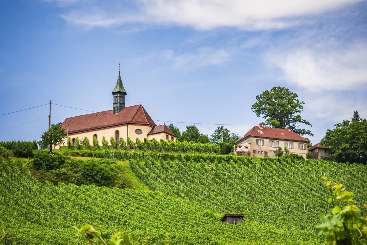 Kirche und Haus auf einem Hügel, umgeben von grünen Weinbergen in Baden unter blauem Himmel mit Wolken.