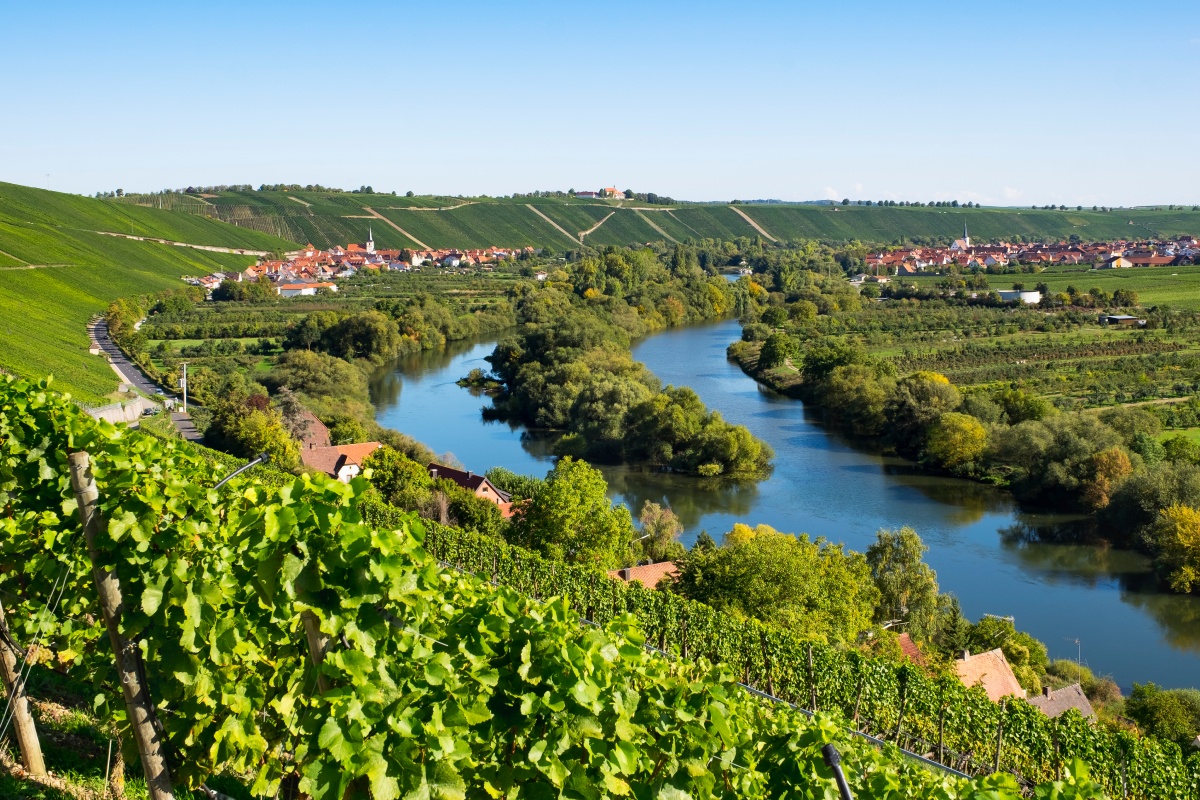 Weinland Franken mit Blick auf Fluss, Weinberge und Dorf im Sommer.