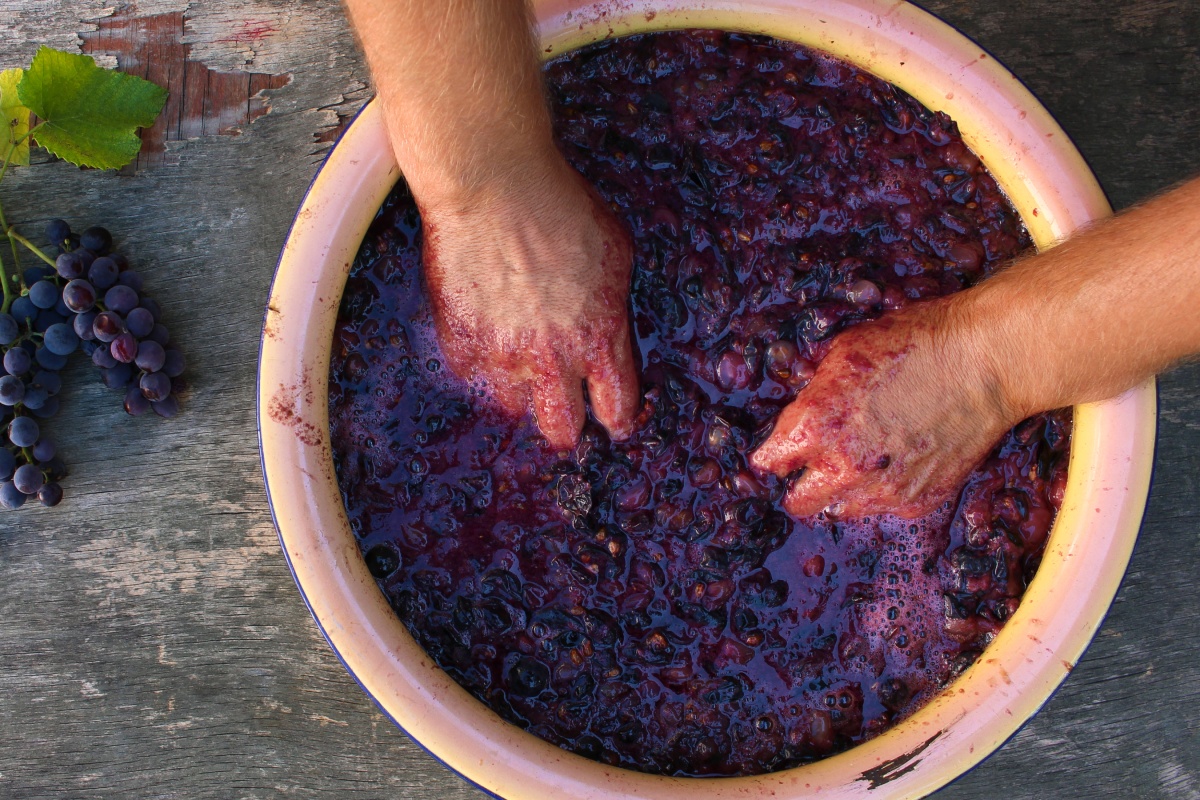 Person zerdrückt rote Weintrauben in einer großen Schüssel.