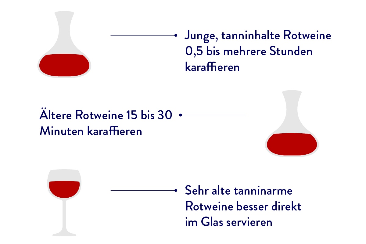 Infografik zum Thema Wein dekantieren, die zeigt, wie lange verschiedene Rotweine karaffiert werden sollten.
