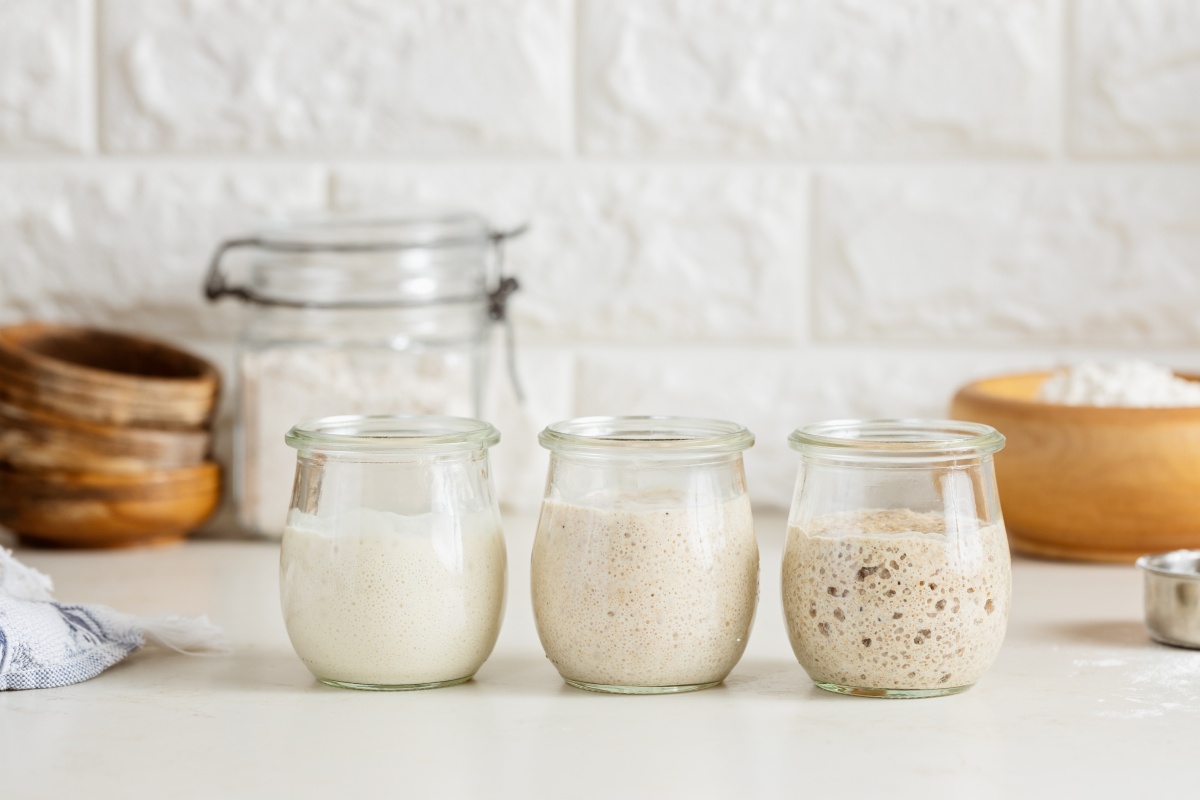 Drei Gläser mit aktivem Sauerteig in unterschiedlichen Entwicklungsstufen stehen auf einer Küchenarbeitsfläche.