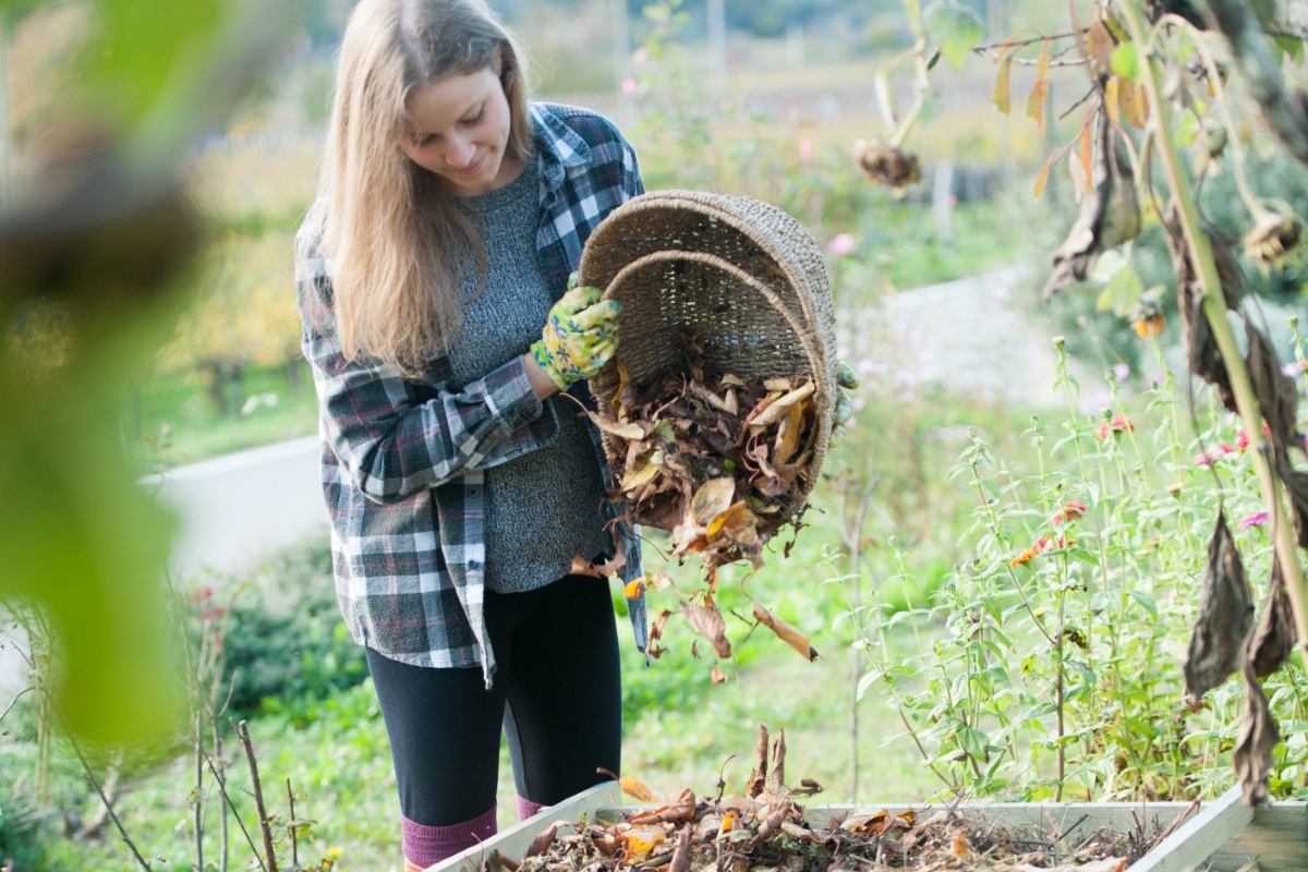 Frau im Grünen leert Gartenabfälle aus einem Korbgefäß in einen Komposter aus Holz.
