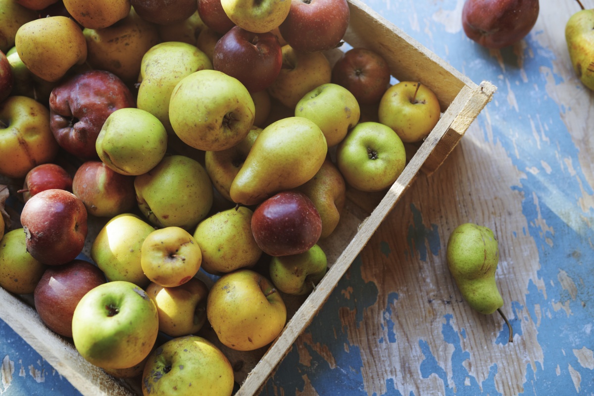 Äpfel und Birnen in einer Holzkiste.