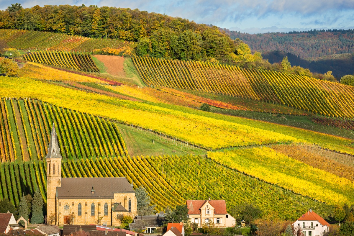 Dorfkirche und Häuser in herbstlichen Weinbergen im Weinanbaugebiet Pfalz.