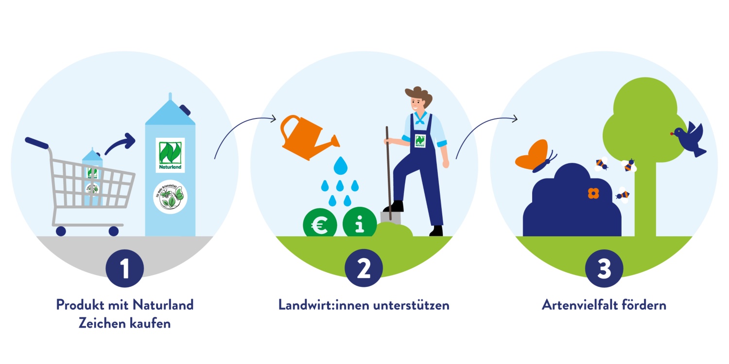 Bebilderte Anleitung zu deinem Beitrag zur Artenvielfalt