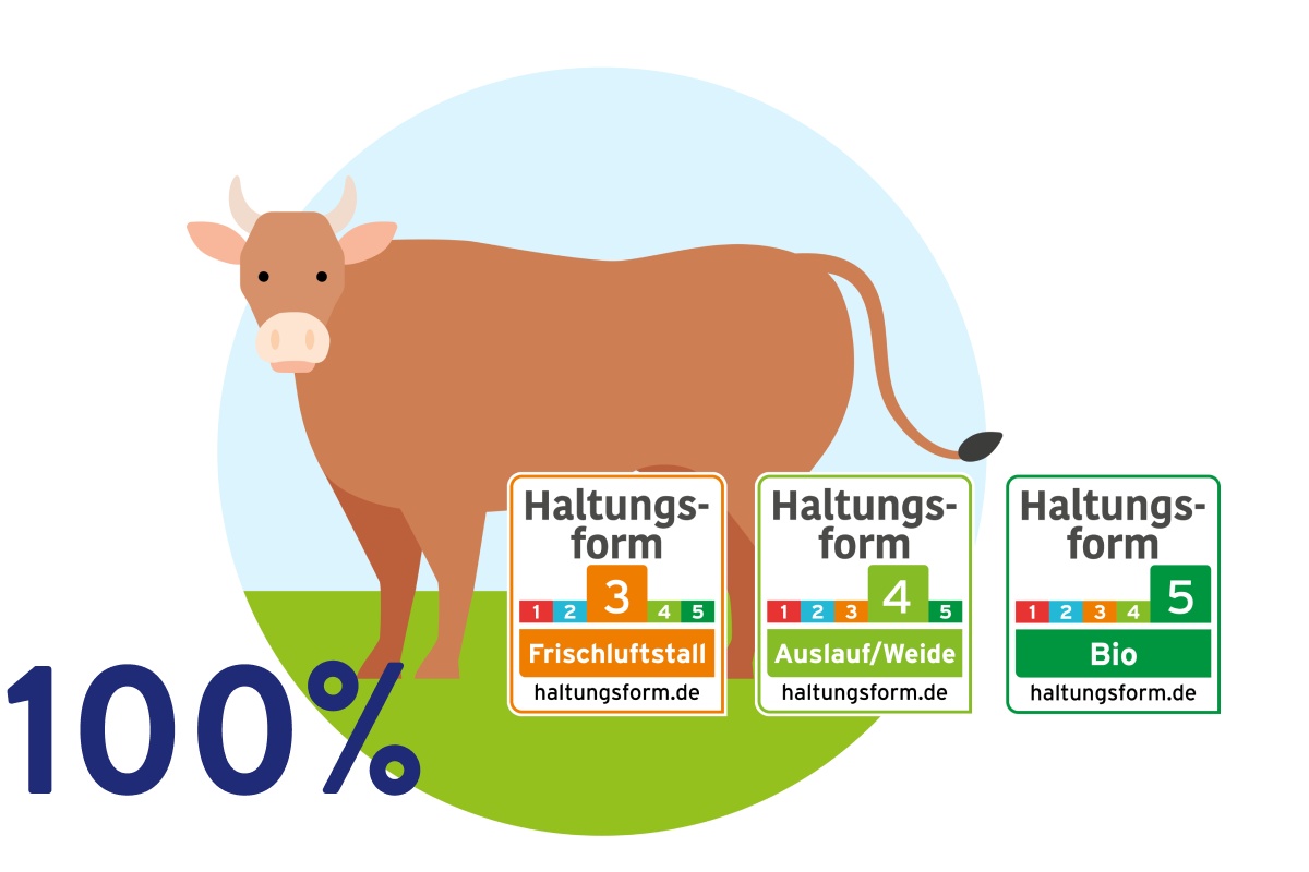Grafik einer Weidekuh.