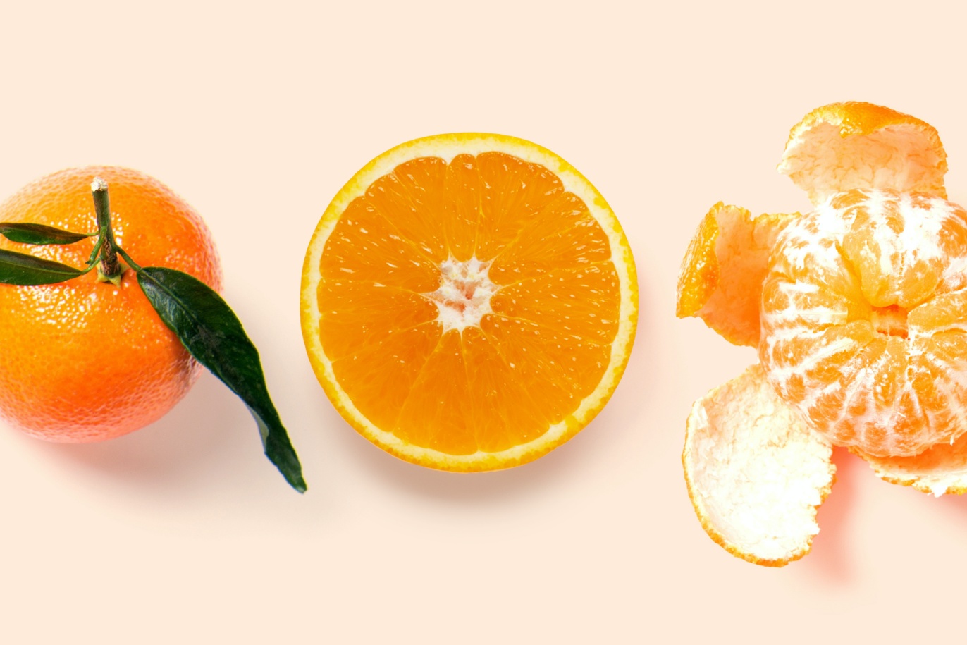 Orange Mandarine Clementine Susse Kleine Vitaminbomben Aldi Sud