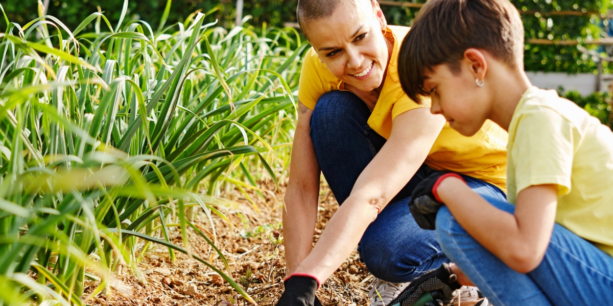 Eine Frau pflanzt mit einem Kind Gemüse in einem Beet.