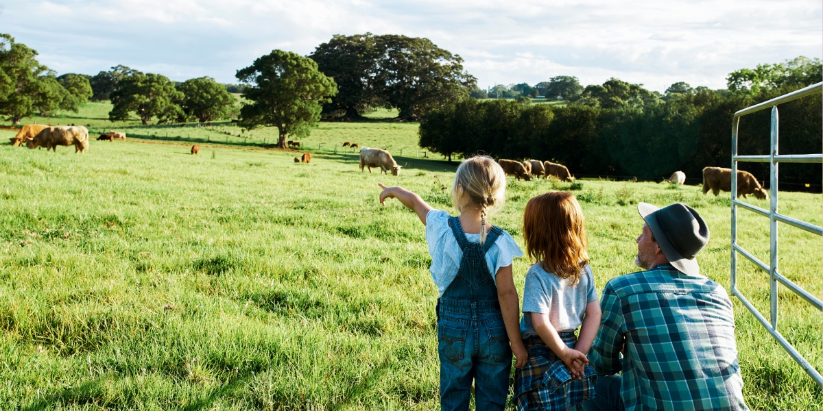 Ein Landwirt steht mit seinen zwei Kindern auf einem Feld und zeigt ihnen eine Kuhherde.