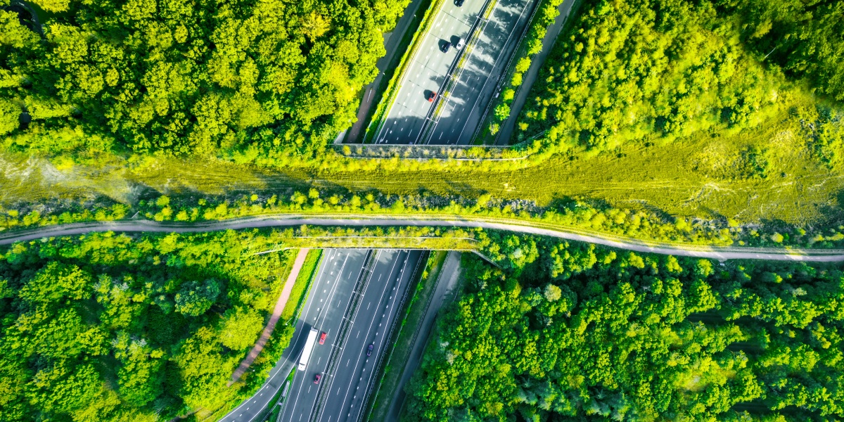 Luftaufnahme einer grünen Wildtierbrücke, die eine mehrspurige Autobahn überspannt und Wälder auf beiden Seiten verbindet.