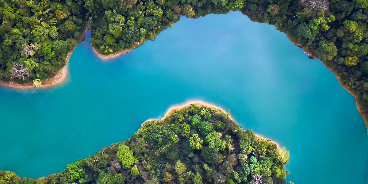 Türkiser Fluss im Regenwald.