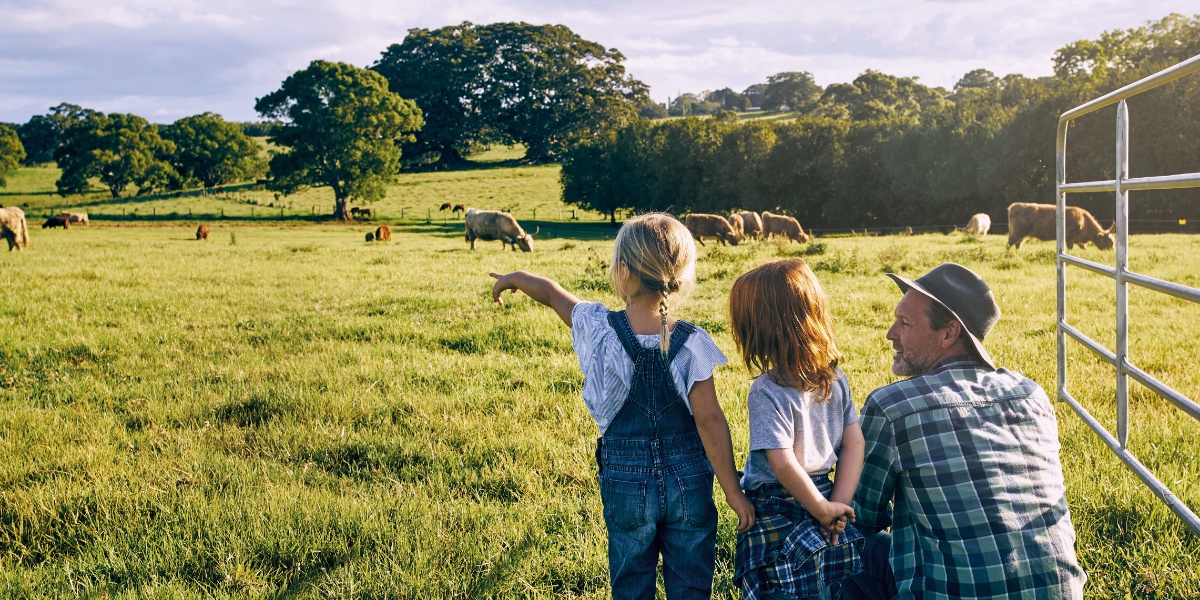 Ein Landwirt zeigt seinen Kindern Kühe auf einer Wiese.