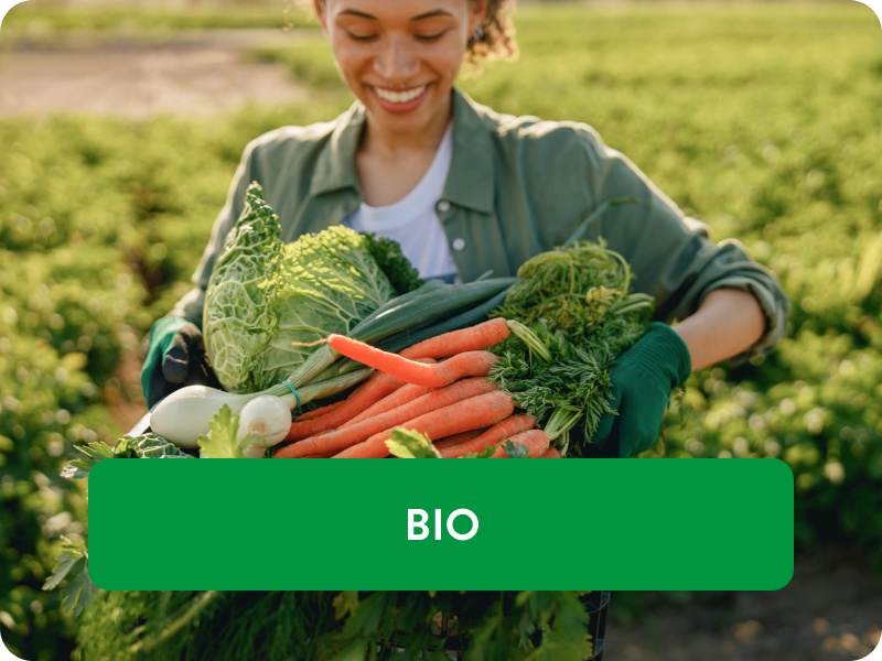 Hände mit Kiste frisch geerntetem Bio-Gemüse.