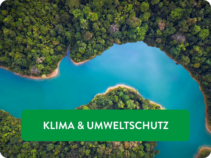 Türkiser Fluss im Regenwald.