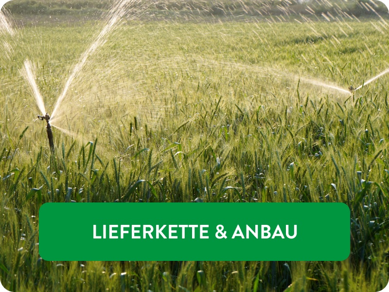 Wassersprenger im Weizenfeld.