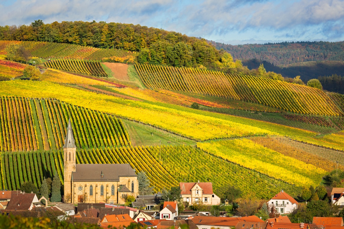 Kirche inmitten malerischer Weinberge im Herbst, gelb und grün gefärbt, mit Dorfhäusern im Vordergrund.