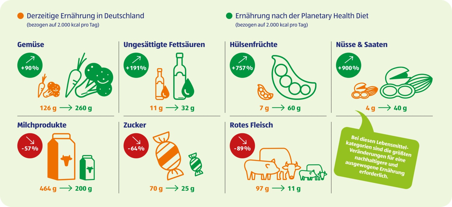 Eine Grafik vergleicht die aktuelle Ernährung in Deutschland mit der Planetary Health Diet nach Lebensmittelkategorien.