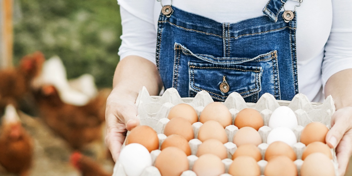 Landwirt mit einer offenen Schachtel Eier.