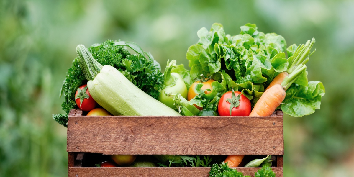 Salat, Karotten, Tomaten und weiteres Gemüse.