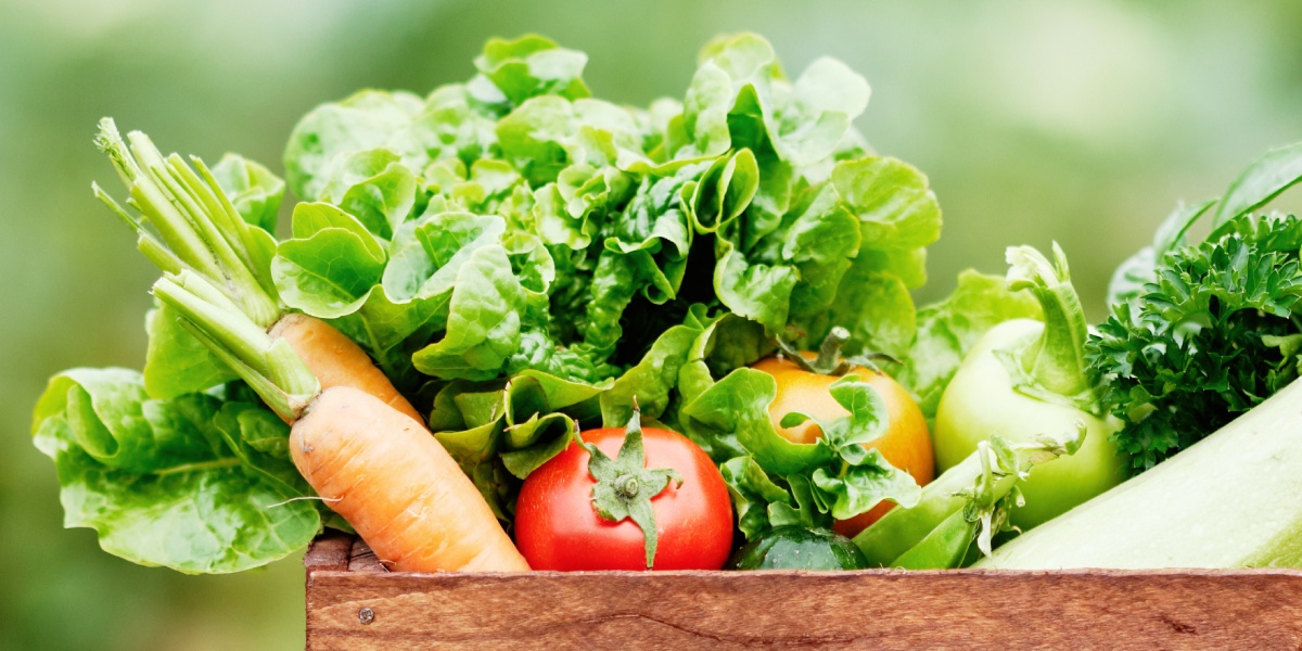 Salat, Karotten, Tomaten und weiteres Gemüse.