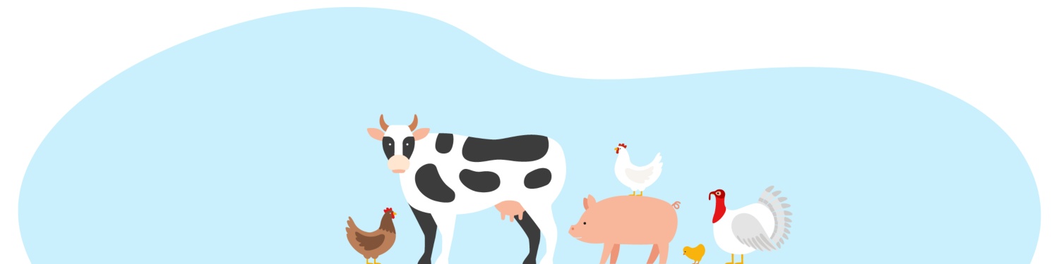 Illustration von Bauernhoftieren. Eine Kuh, ein Schwein mit Huhn auf dem Rücken, eine Henne und ein Truthahn vor blauem Hintergrund.