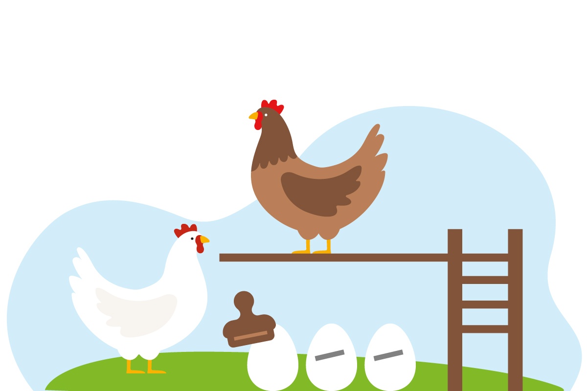 Eine Grafik von Legehennen auf einer Sitzstange und Eiern, die gestempelt werden.