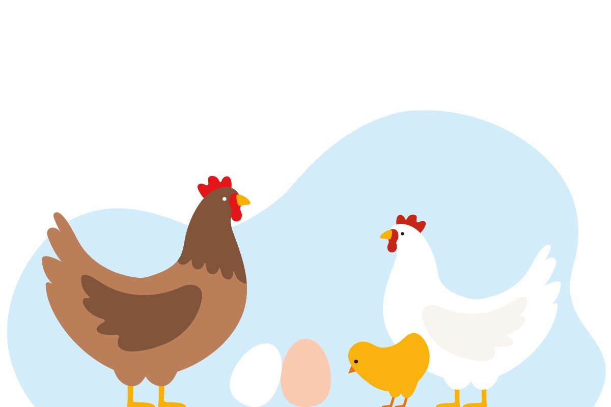 Eine Grafik von Hühnern und Küken.