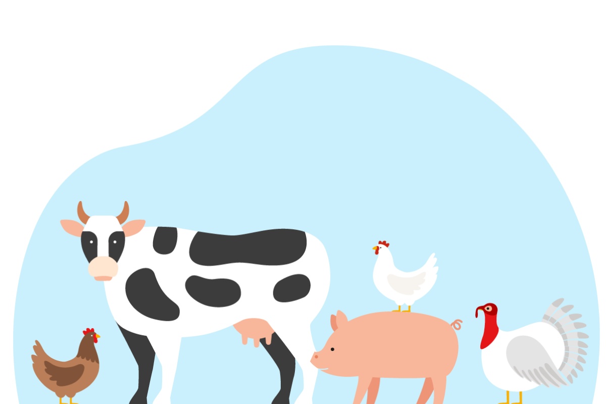 Illustration von Bauernhoftieren. Eine Kuh, ein Schwein mit Huhn auf dem Rücken, eine Henne und ein Truthahn vor blauem Hintergrund.