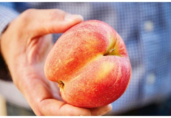 Gutes für alle: ALDI SÜD unterstützt Aktionswoche gegen Lebensmittelverschwendung