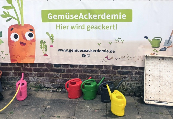 Mit Unterstützung von Ackerdemia und ALDI SÜD: Grundschüler bauen ihr eigenes Gemüse an