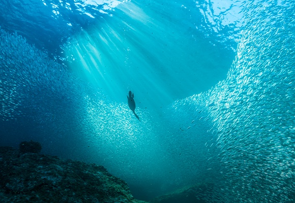 „Heute für Morgen“: ALDI Kampagne setzt auf nachhaltiges Einkaufen und Transparenz